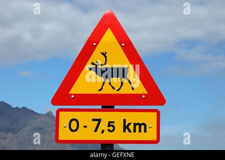 Traffic-Schild 'Beware of Rentier', Island Stockfoto