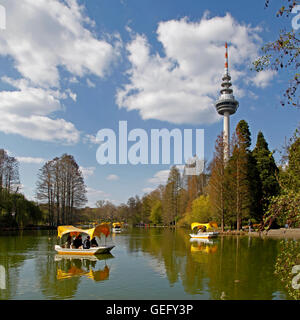 Luisenpark Mannheim Stockfoto