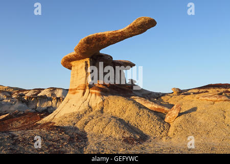 König von Flügeln, San Juan Becken Badlands, New Mexico Stockfoto