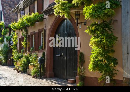 Weinbau-Farm in der Theresienstrasse, Rhodt Unter Rietburg Stockfoto