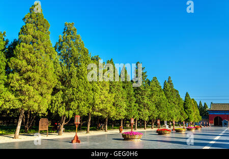 Weg zum runden Erdwall-Altar in Peking Stockfoto