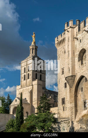 Palais Des Papes, Avignon, Bouche du Rhone, Frankreich Stockfoto
