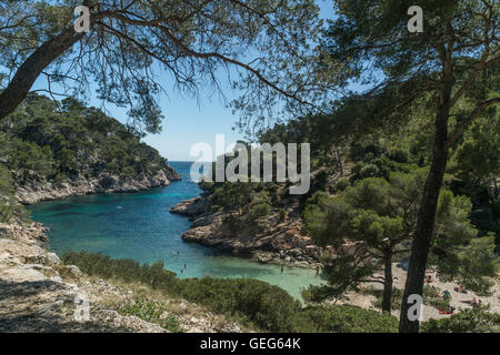 Port-Pin-Strand, Calanques, Cassis, Provence, Frankreich Stockfoto