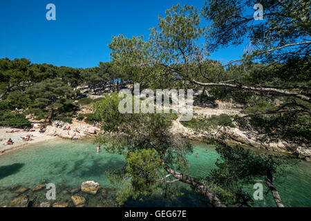 Port-Pin-Strand, Calanques, Cassis, Provence, Frankreich Stockfoto