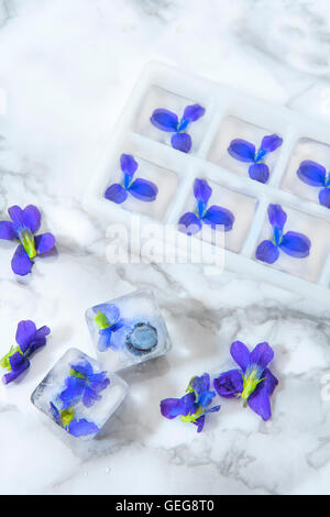 Eiswürfel mit essbaren Blüten Stockfoto