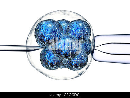 Computer-Zelle ist zwischen einem pipettieren und ein Neeldle., 3d illustration Stockfoto