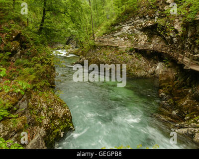 Ventgar Nature Reserve, Kroatien Stockfoto