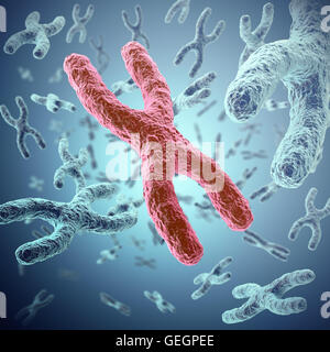 Chromosom X, rot in der Mitte, das Konzept der Infektion, Mutation, Krankheit, mit Focus Effekt. 3D illustration Stockfoto