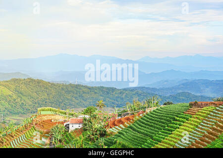 Atemberaubende Landschaft bergig (Berg Schichten) in Panyaweuyan Terrasse, Argapura, Majalengka, West-Java Stockfoto