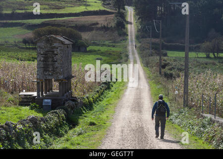 Castrexe, Spanien: Pilgrim Stein Getreidespeicher (Horreos) verläuft entlang dem Camino Finisterre zwischen Muxia und Finisterre. Stockfoto