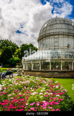 Seitenansicht des Palmenhauses in Belfast berühmten botanischen Gärten in der Nähe von Queens University. Stockfoto