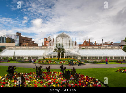 Das Palmenhaus in Belfast berühmten botanischen Gärten in der Nähe von Queens University. Stockfoto