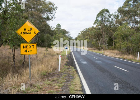 Melden Sie Warnung Fahrer zu Wildtieren Kreuzung Straße beachten. Süd-Ost-Queensland-Australien Stockfoto