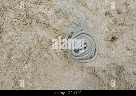 Krabben-Löcher am Strand mit Sand Haufen Stockfoto