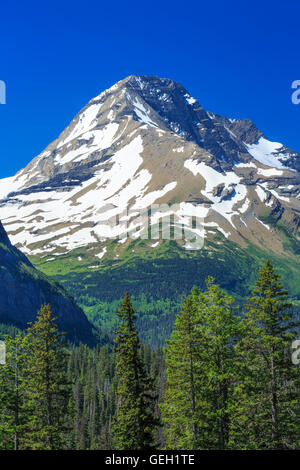 Mount Jackson im Glacier National Park, montana Stockfoto