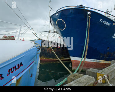 Angelboote/Fischerboote vertäut im Hafen von Scarborough UK Stockfoto