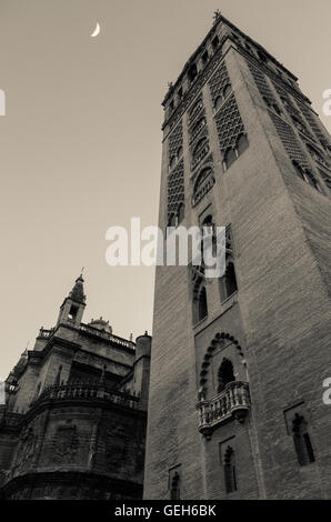 La Giralda, der Glockenturm der Kathedrale von Sevilla, Spanien, eine der größten Kirchen der Welt und ein erstaunliches Beispiel für die almohaden Architektur Stockfoto