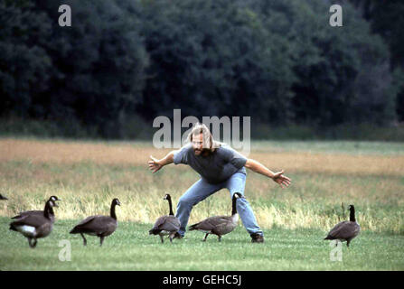 Jeff Daniels Annas Vater Thomas (Jeff Daniels) Erkennt bald, Dass Sie Den Gaensen Das Fliegen Beibringen Muessen.  Lokalen Caption *** 1996, Fly Away Home, Amy Und Die Wildgaense Stockfoto