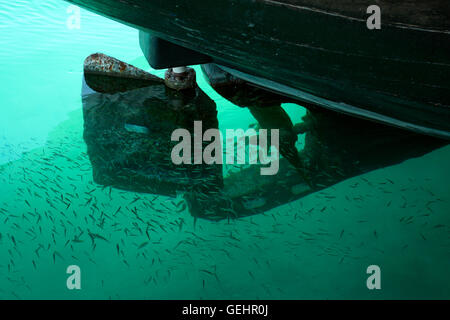 Boot Propeller und kleine Fische Untiefe im türkisfarbenen Wasser Stockfoto