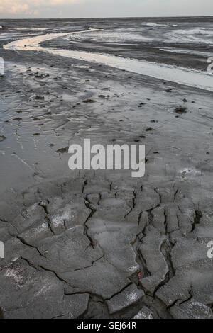 Landschaft trockener Erde See Erhaltung Park.Cracks Textur weiße Black.Nobody Foto. Vertikale Bild. Stockfoto