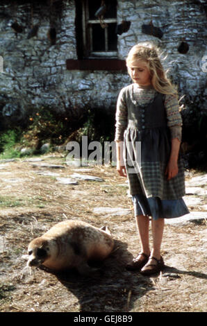 Jeni Courtney Auf der Insel Geschieht Seltsames: sterben Neugierigen Seehunde Beobachten Fiona (Jeni Courtney) Auf Schritt Und Tritt. Lokalen Caption *** 1995, Secret Of Roan Inish, Das Geheimnis Des Seehundbabys Stockfoto