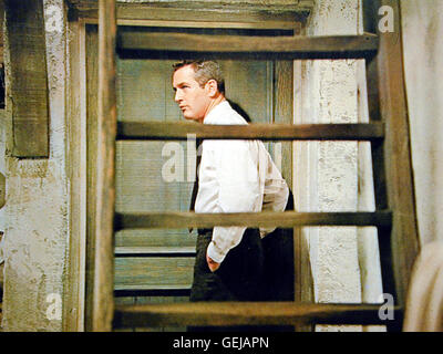 Paul Newman *** lokalen Caption *** 1966, zerrissene Vorhang, Der Zerrissene Vorhang Stockfoto