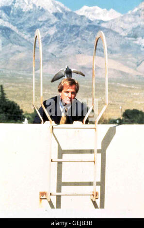 Jeff Daniels Charlie Tuttle (Jeff Daniels) *** lokalen Caption *** 1997, Versuch und Irrtum, Noch Duemmer Stockfoto