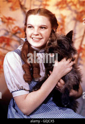 Judy Garland als Dorothy Mit Hund *** lokalen Caption *** 1939, 1930er, 1930er Jahre, Film, Hund, Wizard Of Oz, Hund, Terrier, Das Zauberhafte Land Stockfoto
