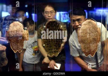 (160726)--ZHENGZHOU, 26. Juli 2016 (Xinhua)--Personen besuchen das Museum Yinxu, oder die Ruinen von Yin, eine der ältesten archäologischen Stätten Chinas in Anyang, Zentral-China Henan Provinz, 13. Juli 2016. Benannt nach der letzten Hauptstadt Chinas erste aufgezeichnete Dynastie Shang (16 / 11 Prozent. V. Chr.), die in Anyang, Henan, die Ruinen von Yin waren berühmt für die Entdeckung der Orakelknochen und Skript.    (Xinhua/Li Bo) (Angeles) Stockfoto