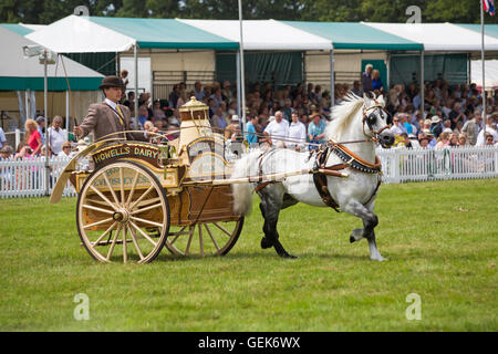 in der Nähe von Brockenhurst, Hampshire, UK. 26. Juli 2016. der erste Tag der neuen Gesamtstruktur & Hampshire County Show wie Tausende Veranstaltung findet an drei Tagen statt. Das Licht Handel zwei Wheeled Vehicles begeistern die Massen Credit: Carolyn Jenkins/Alamy Live News Stockfoto