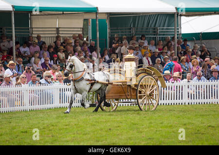 in der Nähe von Brockenhurst, Hampshire, UK. 26. Juli 2016. der erste Tag der neuen Gesamtstruktur & Hampshire County Show wie Tausende Veranstaltung findet an drei Tagen statt. Das Licht Handel zwei Wheeled Vehicles begeistern die Massen Credit: Carolyn Jenkins/Alamy Live News Stockfoto