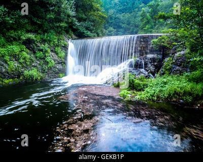 Binzhou. 20. Juli 2016. Foto aufgenommen am 20. Juli 2016 zeigt Hebanshan Waldpark in der ostchinesischen Provinz Shandong Zouping County. Der Landkreis hat auf ökologische Gewässerschutz seit August 2015 gearbeitet. © Zhang Kerong/Xinhua/Alamy Live-Nachrichten Stockfoto