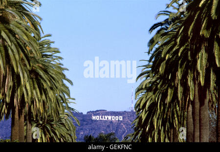 Den berühmten Hollywood-Schriftzug betrachtet gründliche Palmen gesäumten Straße