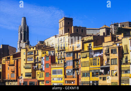 Bunten Häusern im Fluss Onyar und Colegiata de Sant Feliu Glockenturm, Girona, Katalonien, Spanien. Stockfoto