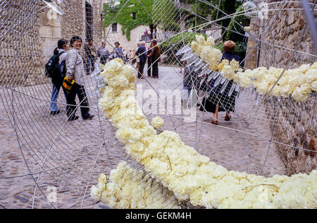 Carrer Sobreportes während "Temps de Flors", jährlich Blumenausstellung, Girona. Katalonien, Spanien. Stockfoto