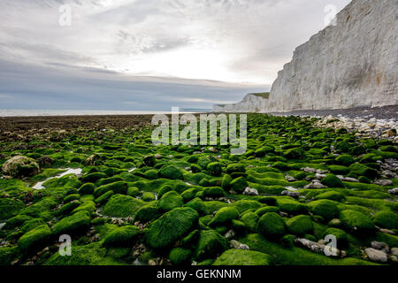 Birling Gap, mit Blick auf sieben Schwestern, East Sussex, England, UK Stockfoto