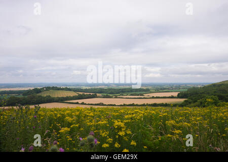 Blick über Tal Ouse in den South Downs in East Sussex England Stockfoto