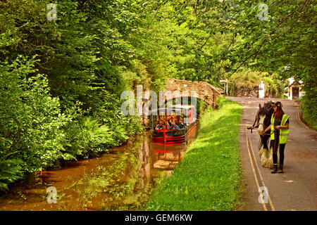 Pferd gezeichneten Tourismus Lastkahn auf dem oberen Llangollen Kanal in der Nähe von den Horseshoe Falls in Llangollen, Denbighshire, Wales Stockfoto