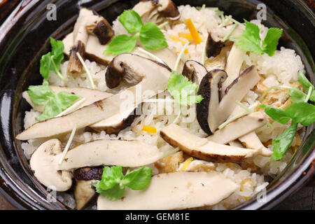 Matsutake Gohan, Reis gekocht mit Matsutake Pilze, japanische Küche Stockfoto