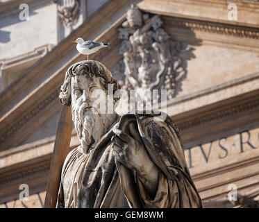 Vogel sitzt am Kopf des großen St. Paolo Statue, Rom, Italien Stockfoto