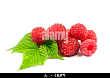 Reife Himbeeren mit Blatt auf weißem Hintergrund Stockfoto