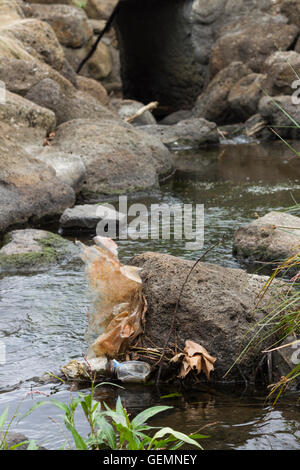 Müll und Abfall verstopfen die Wasserwege von Melbourne. Stockfoto