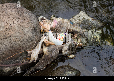 Müll und Abfall verstopfen die Wasserwege von Melbourne. Stockfoto