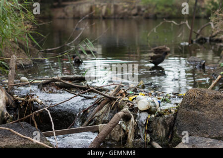 Müll und Abfall verstopfen die Wasserwege von Melbourne. Stockfoto