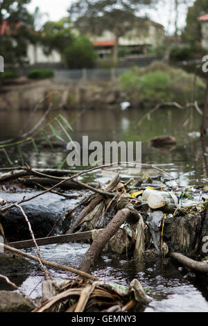 Müll und Abfall verstopfen die Wasserwege von Melbourne. Stockfoto