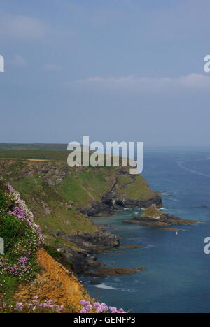Toten Mannes Cove, nördlichen Klippen, Cornwall, Stockfoto