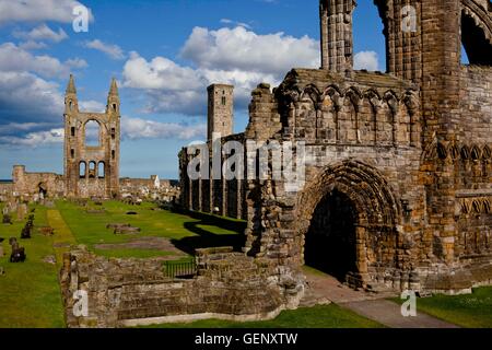 Kathedrale St. Andrews, Fife, Schottland Stockfoto