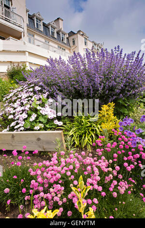 UK, England, Devon, Sidmouth, bunte Blumen Pflanzen im Garten von Belmont Hotel Stockfoto