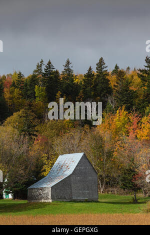 Eine alte graue Wetter Scheune in ländlichen Prince Edward Island, Kanada. Stockfoto