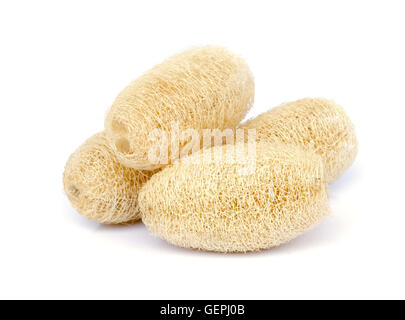 Luffa Schwamm Naturfaser für Körper schrubben auf weißem Hintergrund. Stockfoto